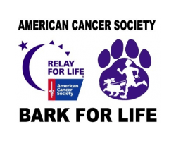 Bark For Life Ann Arbor and Fido 5K/ 1 Mile Fun Run and Walk Bark For Life Ann Arbor and Fido 5K/ 1 Mile Fun Run and Walk