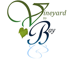 Vineyard to Bay 25k & 15k-10k Relay & 5k Walk/Run Vineyard to Bay 25k & 15k-10k Relay & 5k Walk/Run